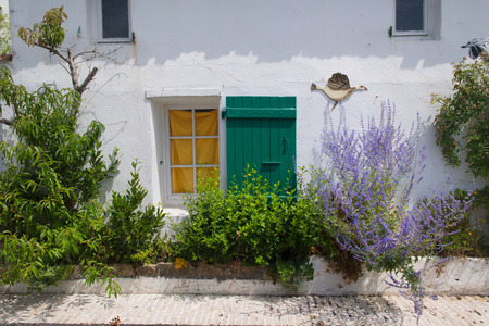 Little lane in Ile de Re in village Les Portes en Reの写真素材