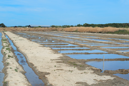 Ile de RÃ© salt lakes wheelbarrow and other toolsの写真素材