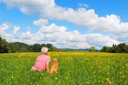 Senior man sitting with dog in rural agricultural landscapeの写真素材