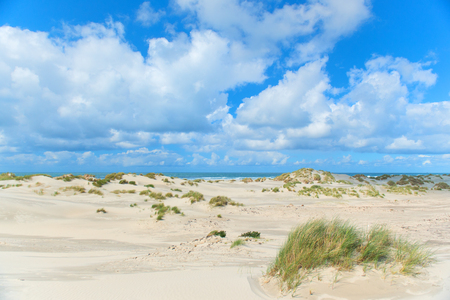 Landscape dunes in front of empty beach at Dutch island Terschellingの写真素材
