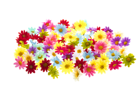 Colorful summer flowers isolated over whiteの写真素材