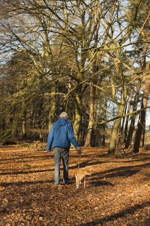 Senior man walking the dog in winter forestの写真素材