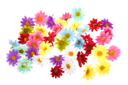 Colorful summer flowers isolated over whiteの写真素材