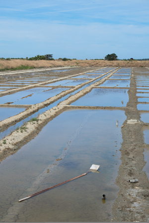 Ile de RÃ© salt lakes wheelbarrow and other toolsの写真素材