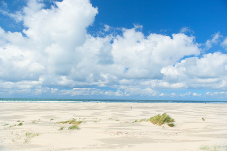 Landscape empty beach at Dutch island Terschellingの写真素材
