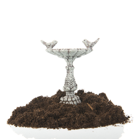 Garden with bird bath isolated on whiteの写真素材
