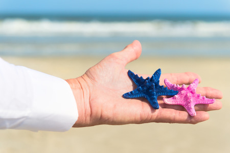 Blue starfish in hand of business man outdoorの写真素材