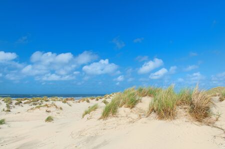 Landscape dunes and empty beach at Dutch island Terschellingの写真素材