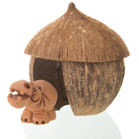 Tropical straw hut with hippo isolated over whiteの写真素材