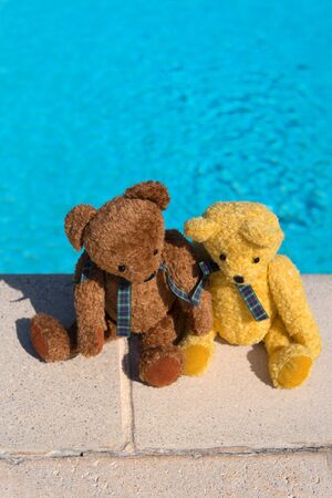 Two bears on vacation near swimming poolの写真素材