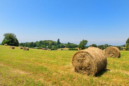 Round rolled hay bales in agricultural landscapeの写真素材