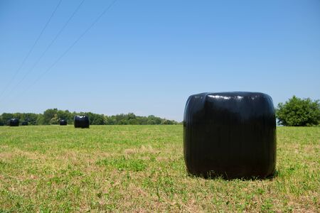 Wrapped hay bales in agricultural landscapeの写真素材