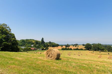 Round rolled hay bales in agricultural landscapeの写真素材