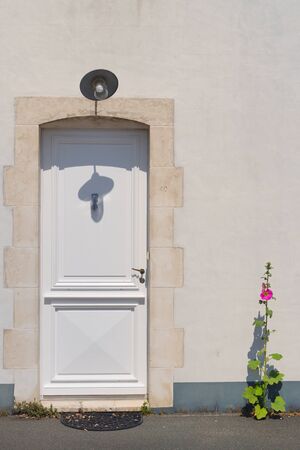 Closed white door with hollyhocksの写真素材