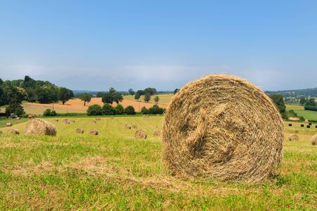 Round rolled hale bales in agricultural landscapeの写真素材