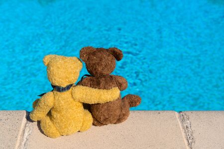 Two bears on vacation near swimming poolの写真素材