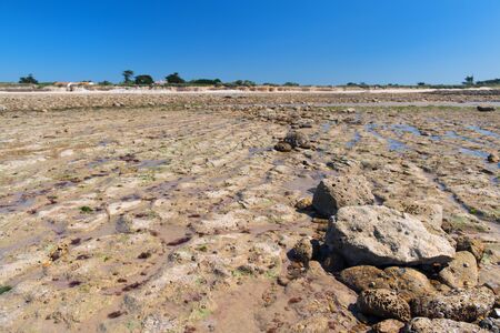 Beach in Saint Marie en Re on island Ile de Reの写真素材