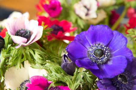 Bouquet anemone in pink and purpleの写真素材