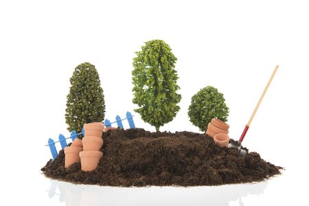 Landscaping with trees in the garden isolated on white backgroundの写真素材