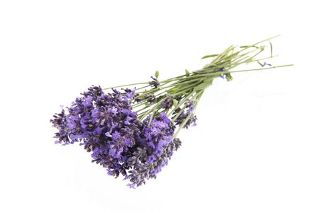 Bouquet purple Lavender isolated over white backgroundの写真素材