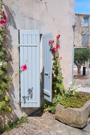 Pink Hollyhocks in French Charente-Maritime against blue blindsの写真素材