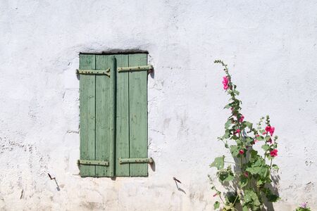 Ile de Re - Hollyhocks and white house with green shuttersの写真素材