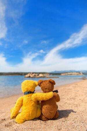 Couple bears at the beach on French island Corsicaの写真素材