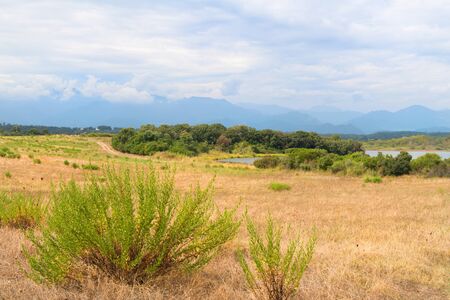 landscape Corsica lake Urbino in Franceの写真素材