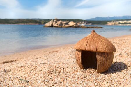 African hut made from coconut at the beach