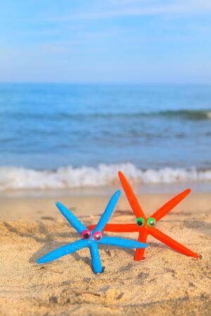 Funny colorful star fishes at the beachの写真素材