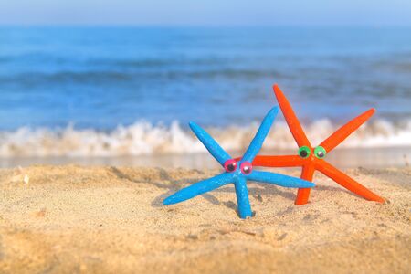 Funny colorful star fishes at the beachの写真素材