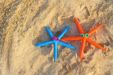 Funny colorful laying in the sand star fishes at the beachの写真素材