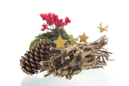 Red Cyclamen with christmas ornaments isolated over white backgroundの写真素材