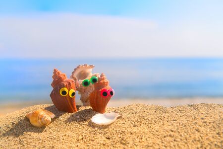 Funny shells with eyes at the beach with the sea in the background