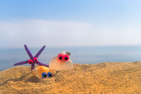 Funny shells with eyes at the beach with the seaの写真素材