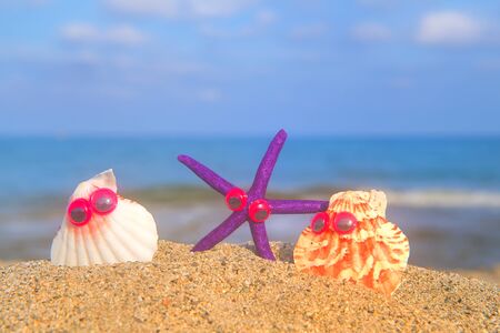 Funny shells with eyes at the beach with the seaの写真素材
