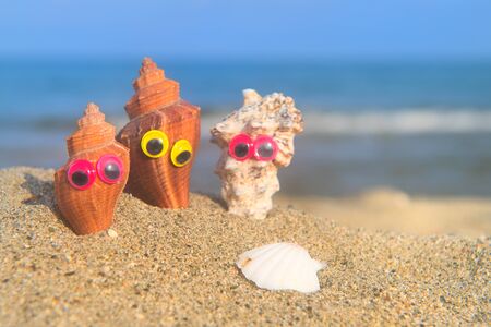 Funny shells with eyes at the beach with the sea in the backgroundの写真素材