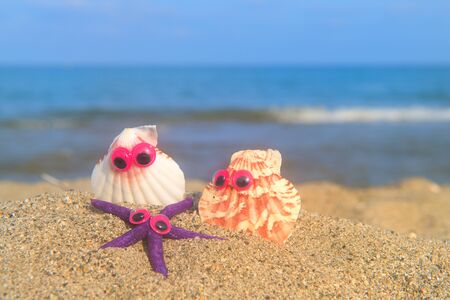 Funny shells with eyes at the beach with the sea in the backgroundの写真素材