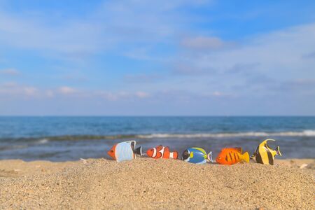 Many tropical fishes at the summer beachの写真素材