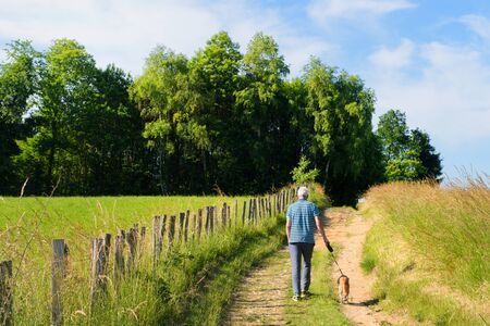 Man walking the dog in landscape green hills in French Nouvelle aquitaineの写真素材