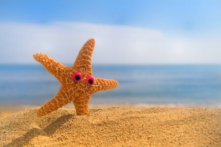 Funny starfish with eyes at the beach with the sea in the backgroundの写真素材