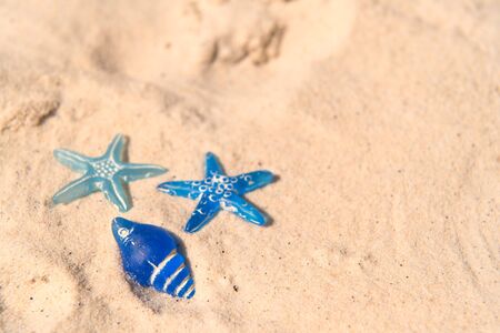 Blue Star fishes in sand at beachの写真素材