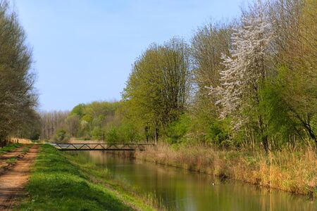 Landscape with ditch and little bridge in Dutch forestの写真素材