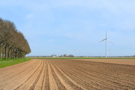 Potato field in landscape with rows in the groundの写真素材