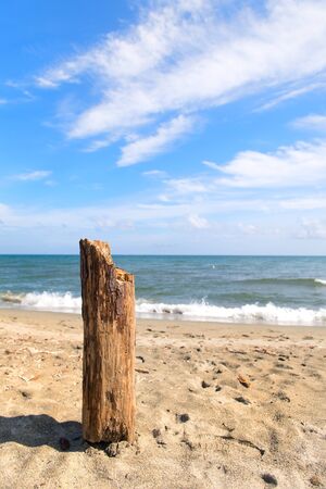 Coast French Corsica with wreckage poleの写真素材