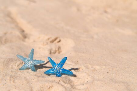 Blue Star fishes in sand at beachの写真素材