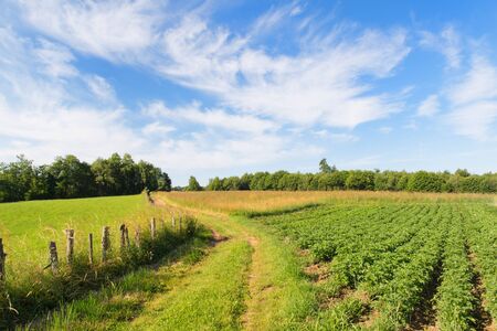 Landscape green hills in French Nouvelle aquitaineの写真素材