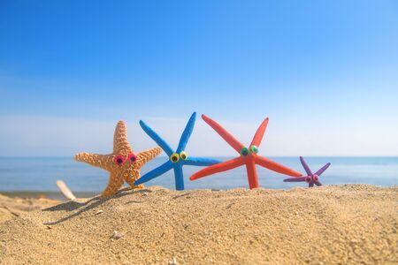Funny star fishes with eyes at the beach with the sea in the backgroundの写真素材
