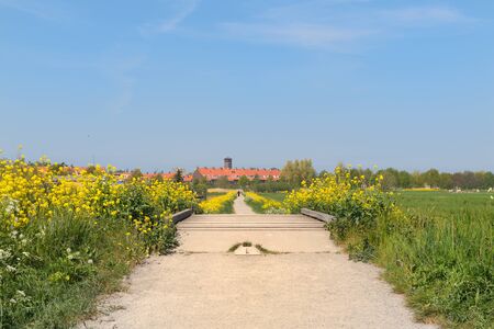 Nature path with rape seed to Dutch town Haarlemの写真素材