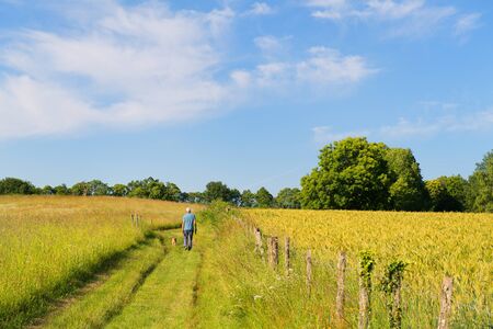 Man walking the dog in landscape green hills in French Nouvelle aquitaineの写真素材